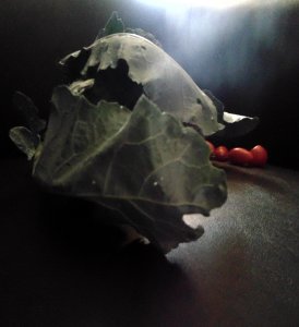 cavolfiore