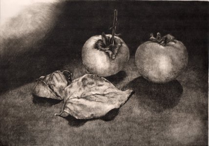 kaki