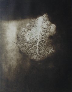 Acqua