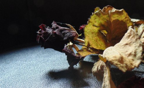 dsc00205