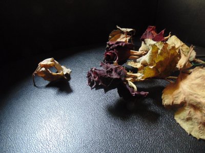 dsc00206