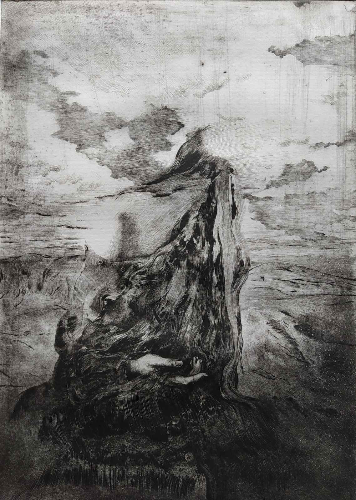 1 Daniela Savini 2022 Human Landscape drypoint and ferrous varnish on plexiglass cm 495 x 35